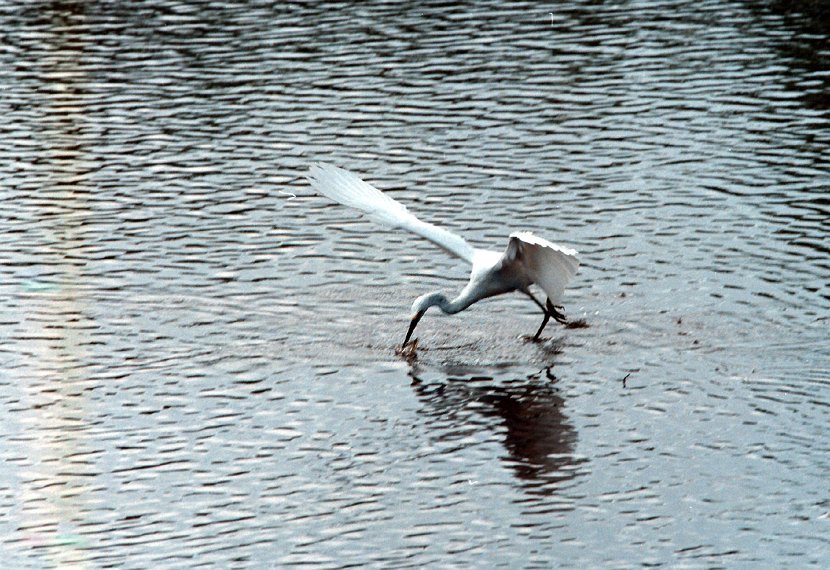 PIM PortforlioScenes 011