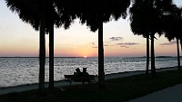 SCENICS